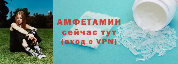 дмт Бородино