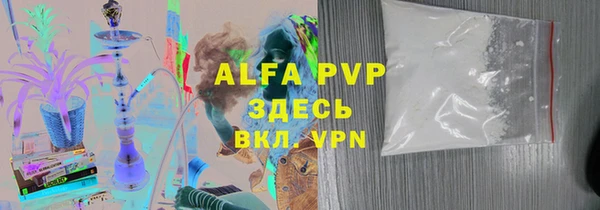 дмт Бородино