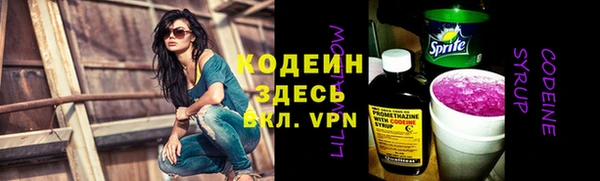 дмт Бородино