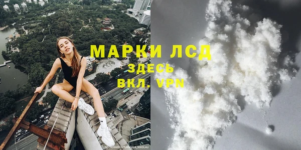 дмт Бородино