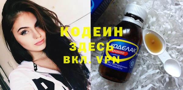 дмт Бородино