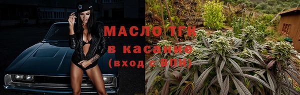 дмт Бородино