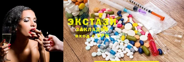 дмт Бородино