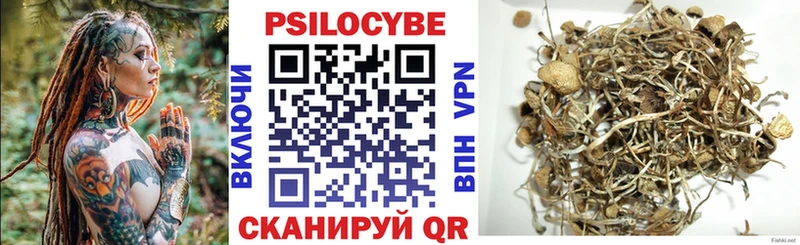 магазин наркотиков Щигры Галлюциногенные грибы мицелий